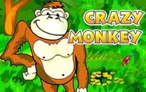 crazy monkey slots