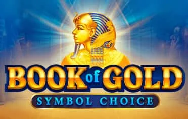 Book of gold slots